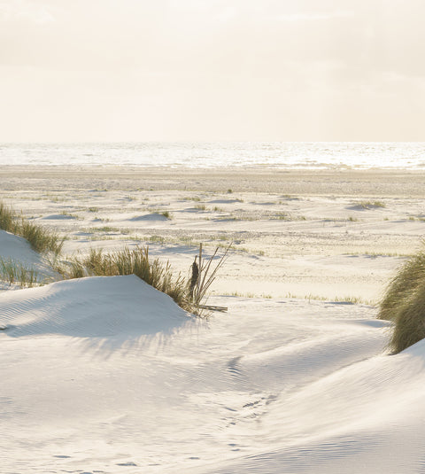 A Warm Welcome to Dune