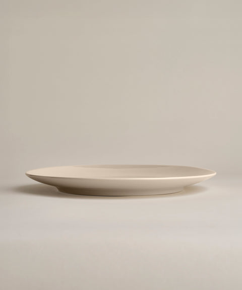 Glossy Big Plates