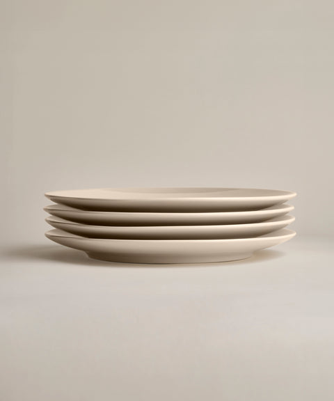 Glossy Big Plates