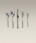 polished-steel