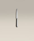 polished-steel